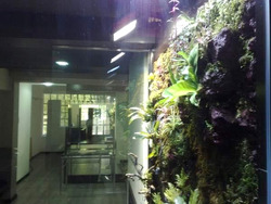 Blk 606 Choa Chu Kang Street 62 (Choa Chu Kang), HDB Executive #582304591